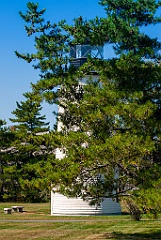 Evergreen Trees Around Plum Island Light in Massachusetts